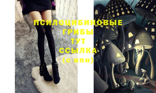 бошки Белоозёрский