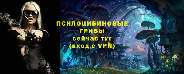 jwh Белокуриха