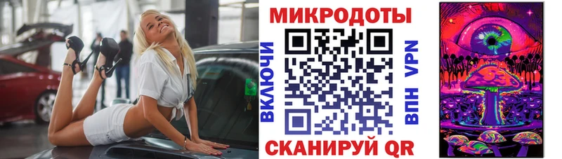 Купить  Горняк  Галлюциногенные грибы Cubensis 