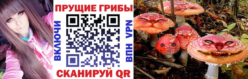 Галлюциногенные грибы MAGIC MUSHROOMS Горняк